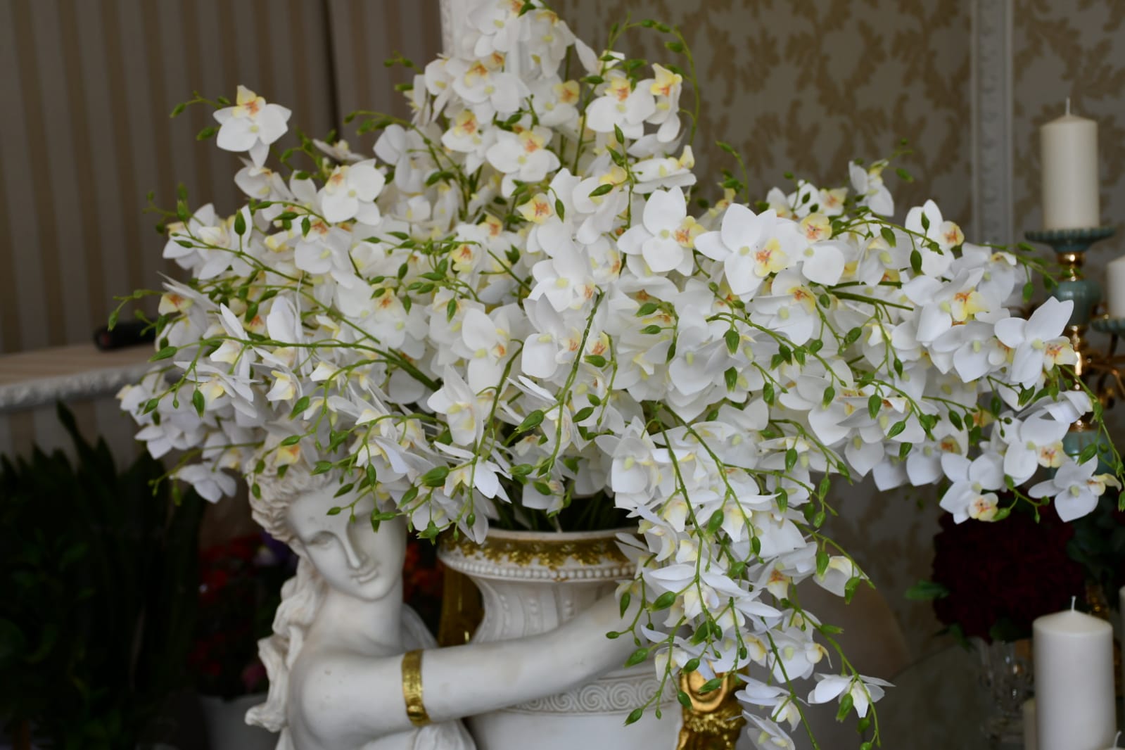 WhatsApp Image 2020-05-22 at 4.35.55 PM (1).jpeg.jpeg